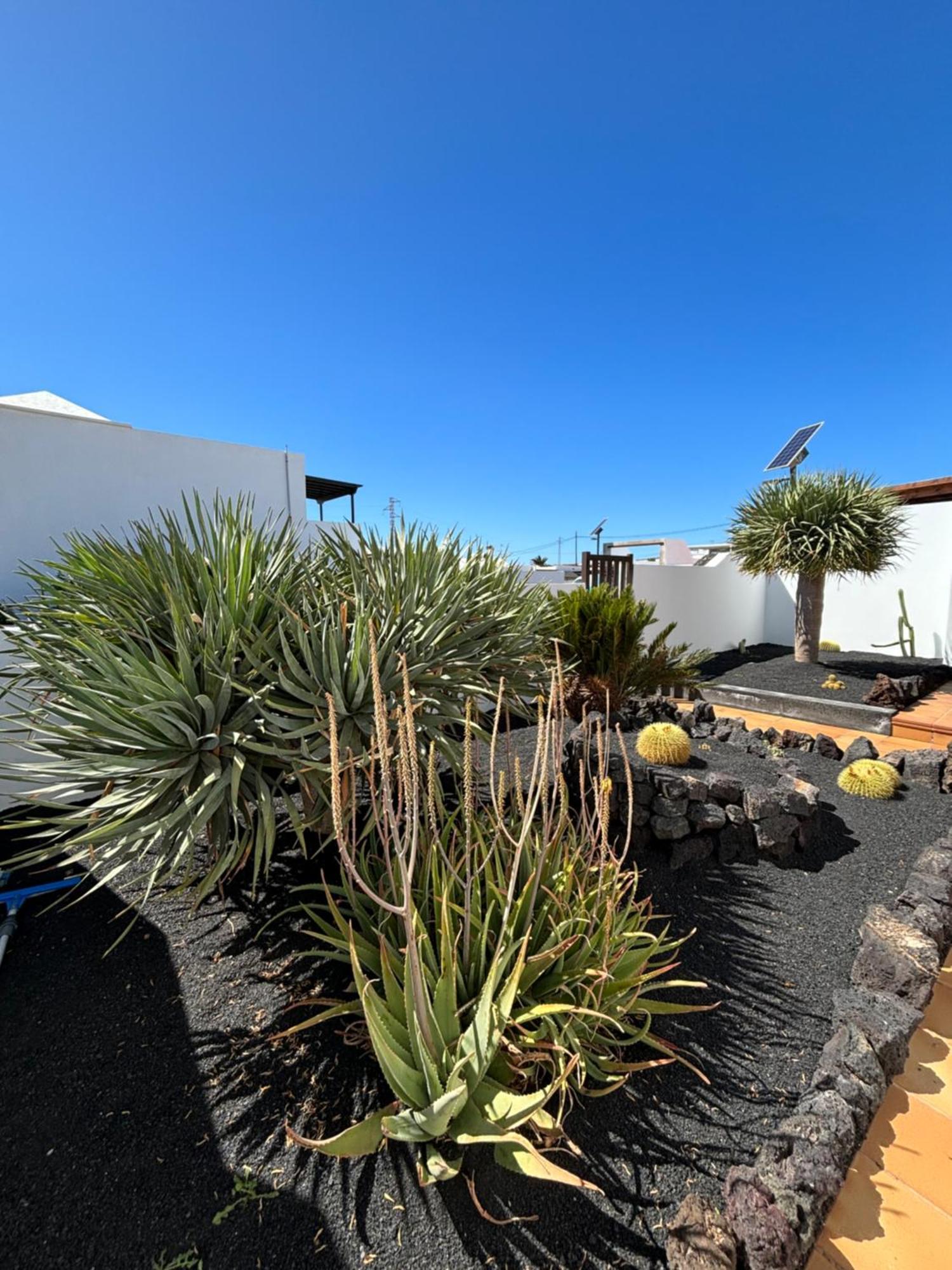 Rincon Oasis Vil·la